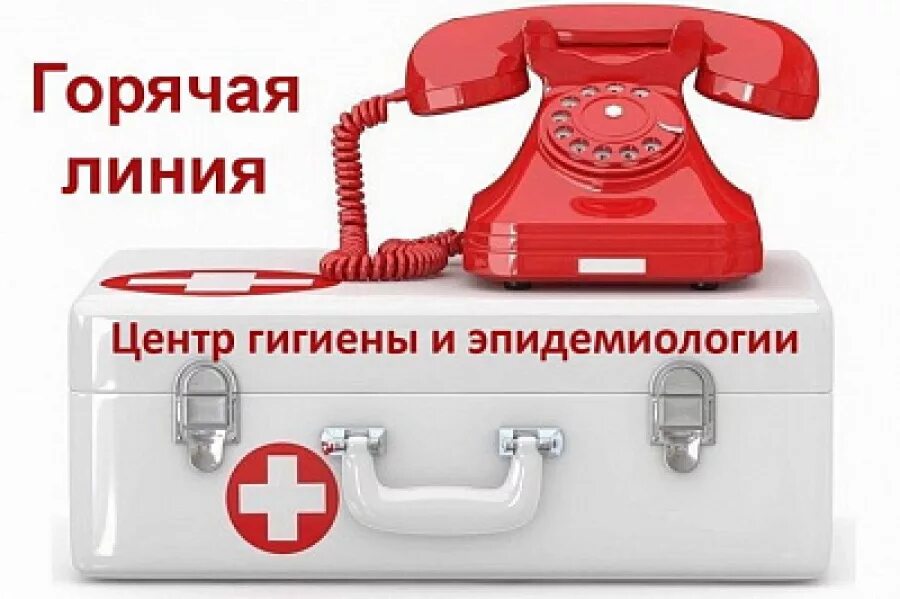 Подключить горячую линию