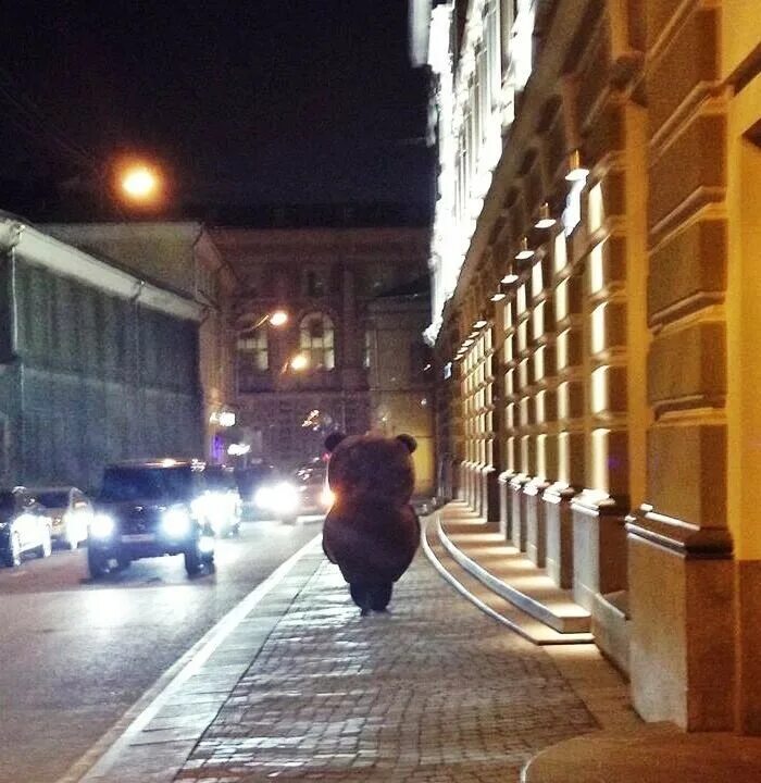 Выходим мы ночью выходим мы днем. Иду по ночному городу. Улица вечером. Ночь улица фонарь. Санкт-Петербург вечером.