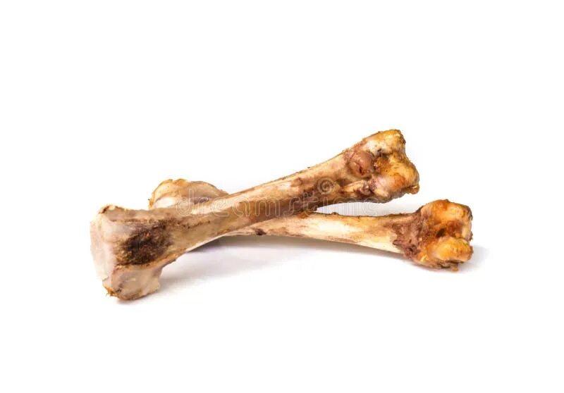 Какие кости трубчатые у курицы фото Premium Photo Raw chicken bones on white background