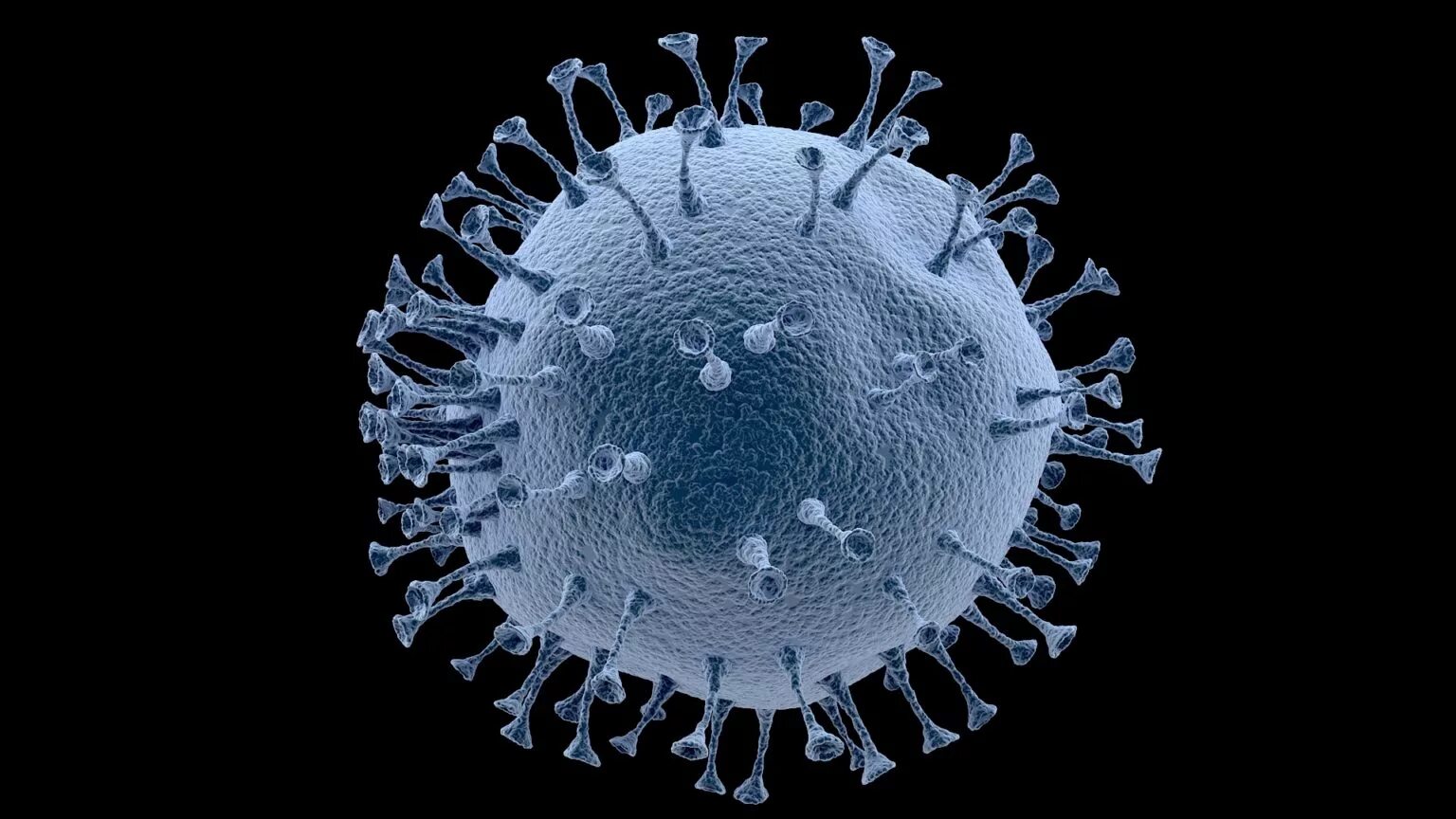 Модель коронавируса Covid-19. Коронавирус модель вируса. Xarana Viyrus. Вирус на белом фоне. Коронавирус со