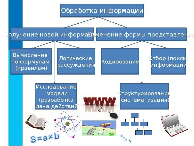 Обработка информации человеком. Основные информационные процессы в информатике. Процесс (Информатика).