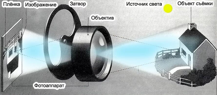 Отверстие через которое внутрь глаза проникает свет. Строение пленочной камеры. Конструкция пленочного фотоаппарата. Фиксация изображения на фотопленке. Строение пленки для фотоаппарата.