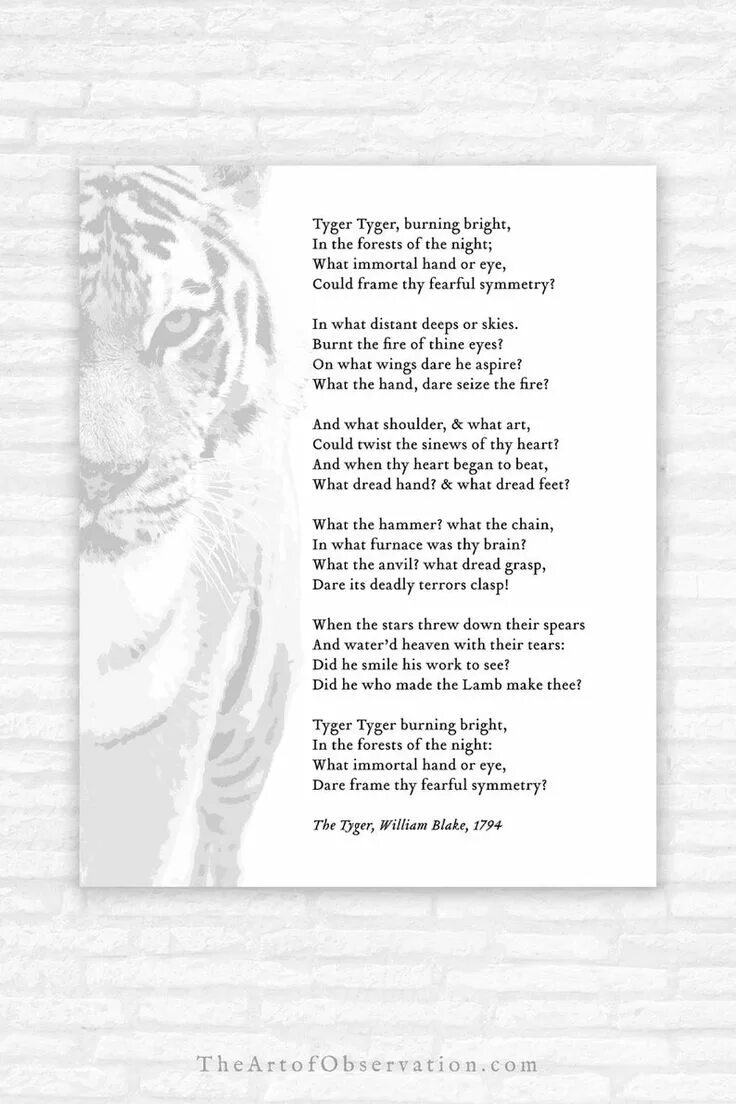 Стихотворение тигр Уильям Блейк. Tyger Tyger Burning Bright in the Forests of the Night. Блейк тигр тигр жгучий страх. Стих тигр тигр жгучий страх. Тигр тигр жгучий страх ты