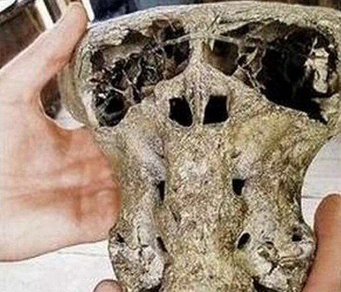 Таинственная находка в горах (5 фото) " Jo-jo * Твоё место под солнцем