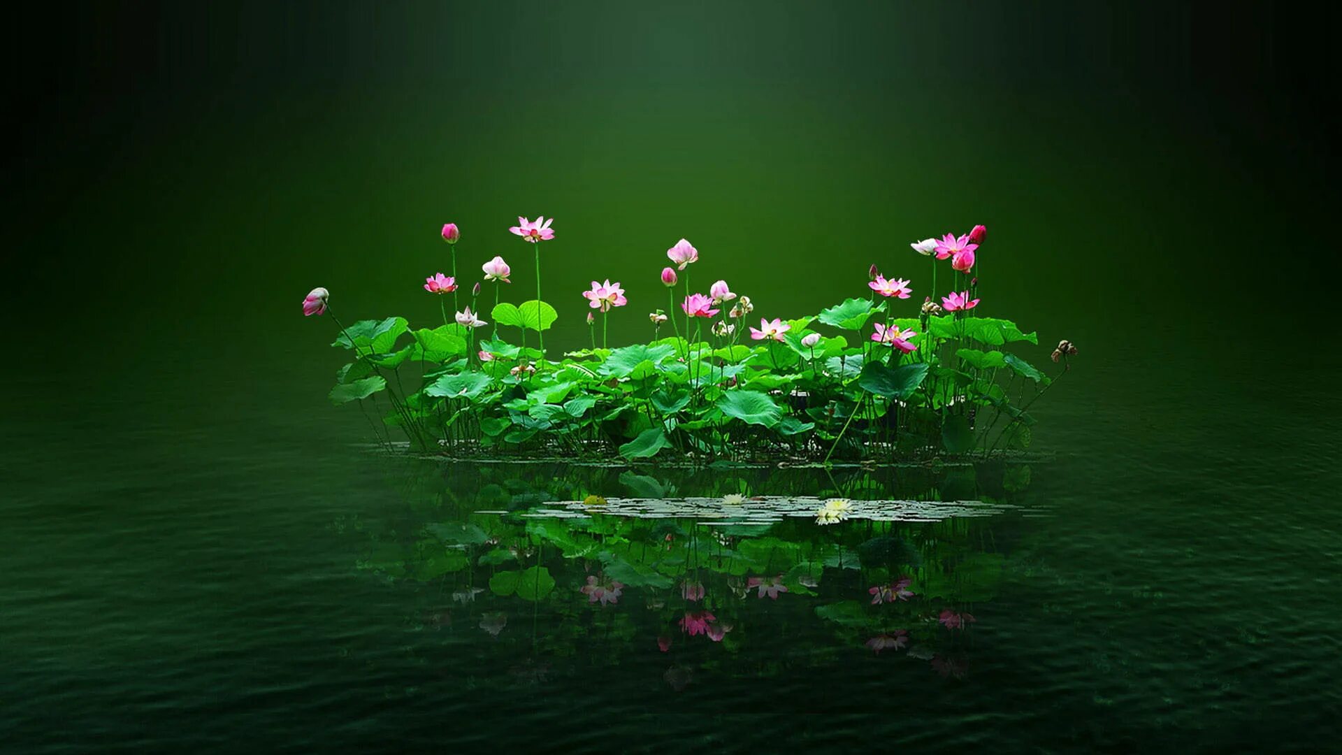 Download A vibrant and lush green background Wallpapers.com