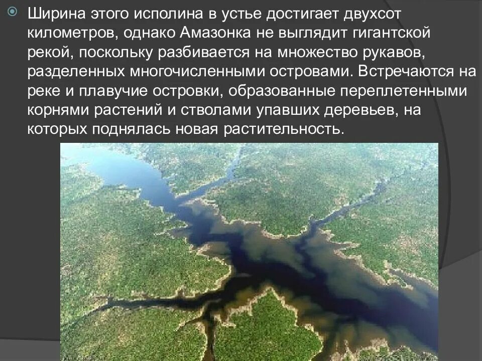 Какое устье реки амазонка. Амазонка река ширина. устье реки амазонка. река амазонка доклад. координаты реки амазонка.