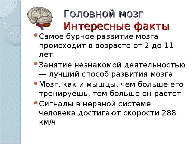 Факты про мозг. Интересные факты о мозге. Интересные факты о мозге человека. Интересные факты о головном мозге. Интересные факты о мозге человека для детей.