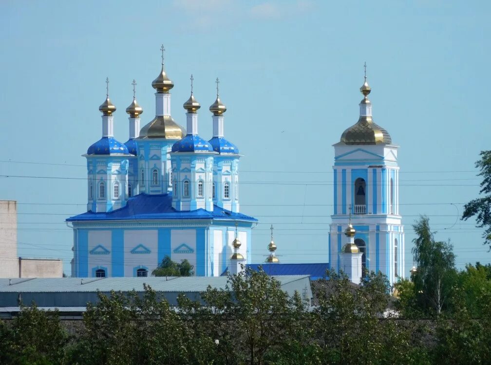 Угольское храм восстановят. Устье-угольская школа здание. Казанский храм шексна. Нестеровская школа шекснинский район. Село угольское церковь.