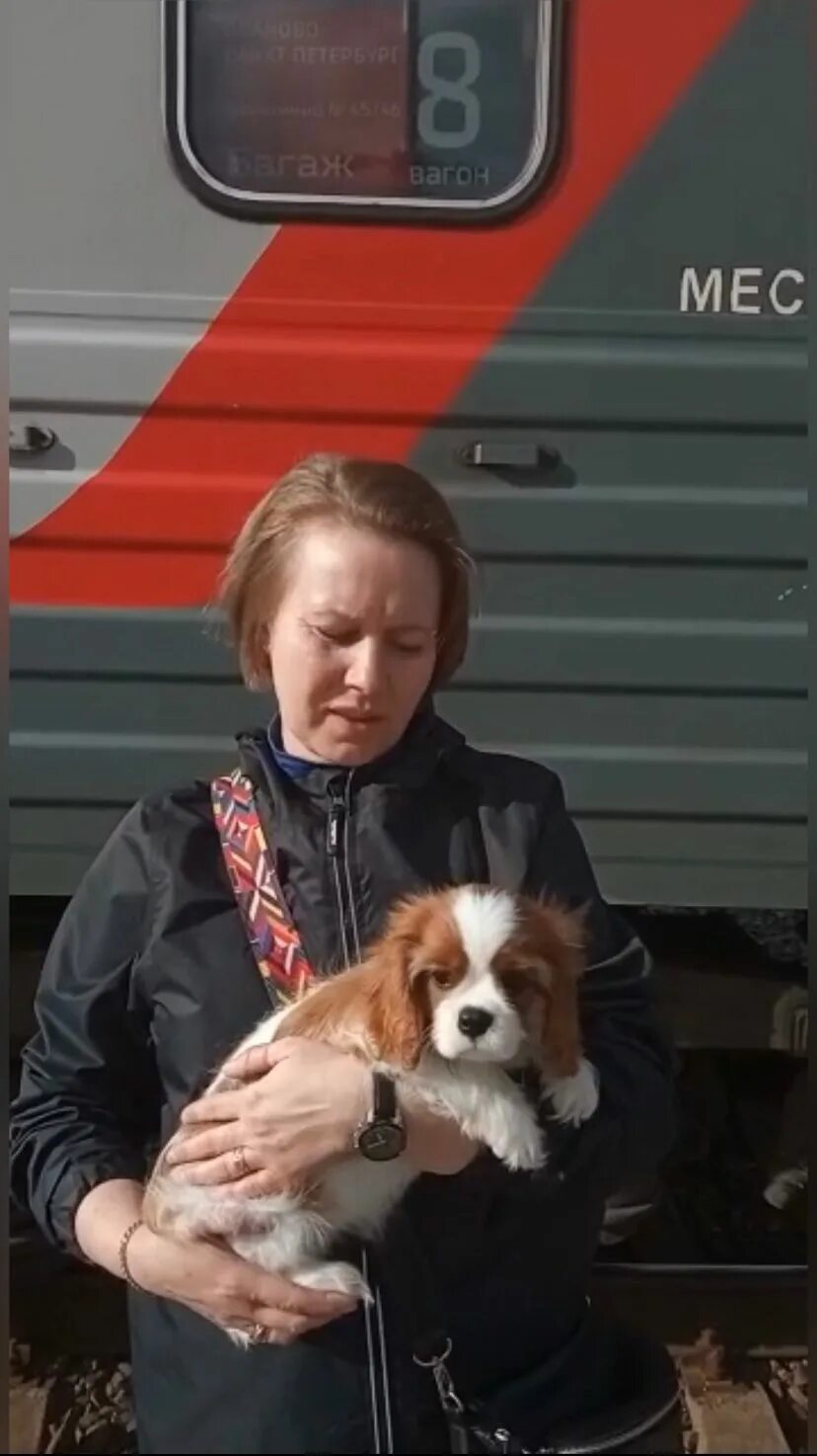 Russian petting