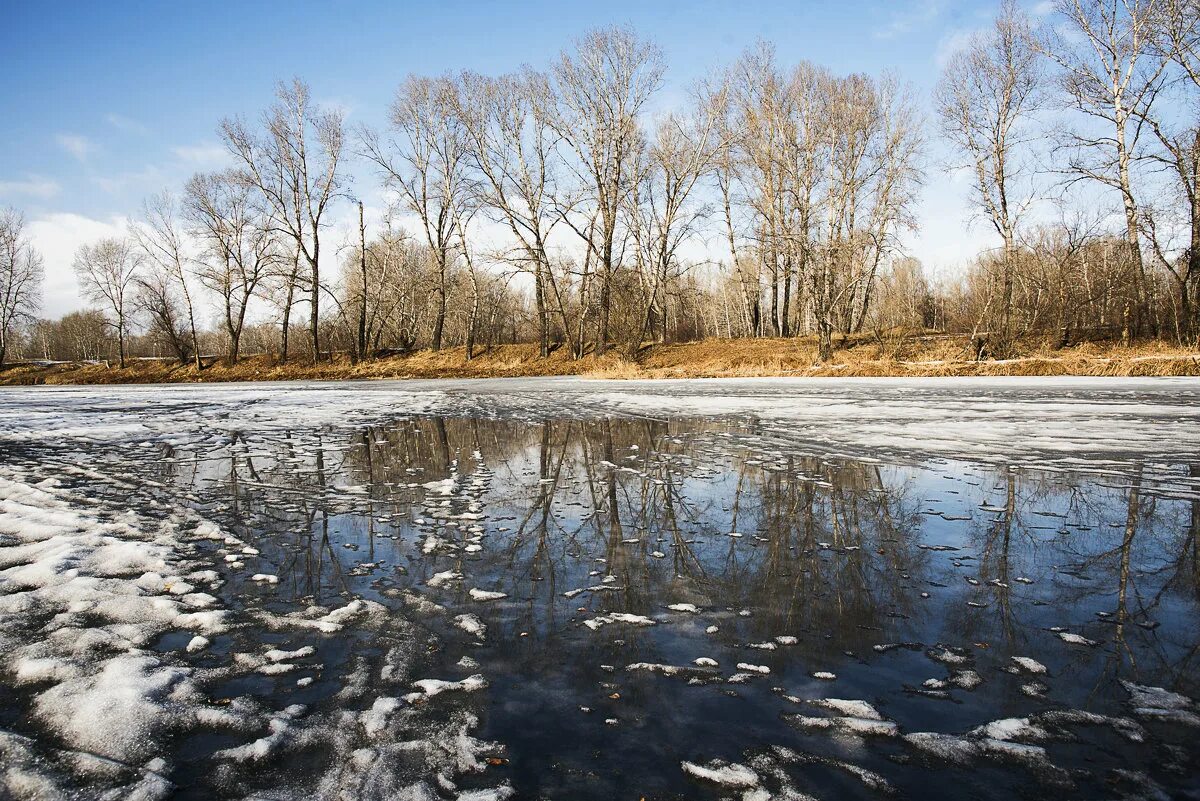 Талые воды весной. Талые воды. Талая вода фото. Талая вода в реке. Снеготаяние красивые картинки.