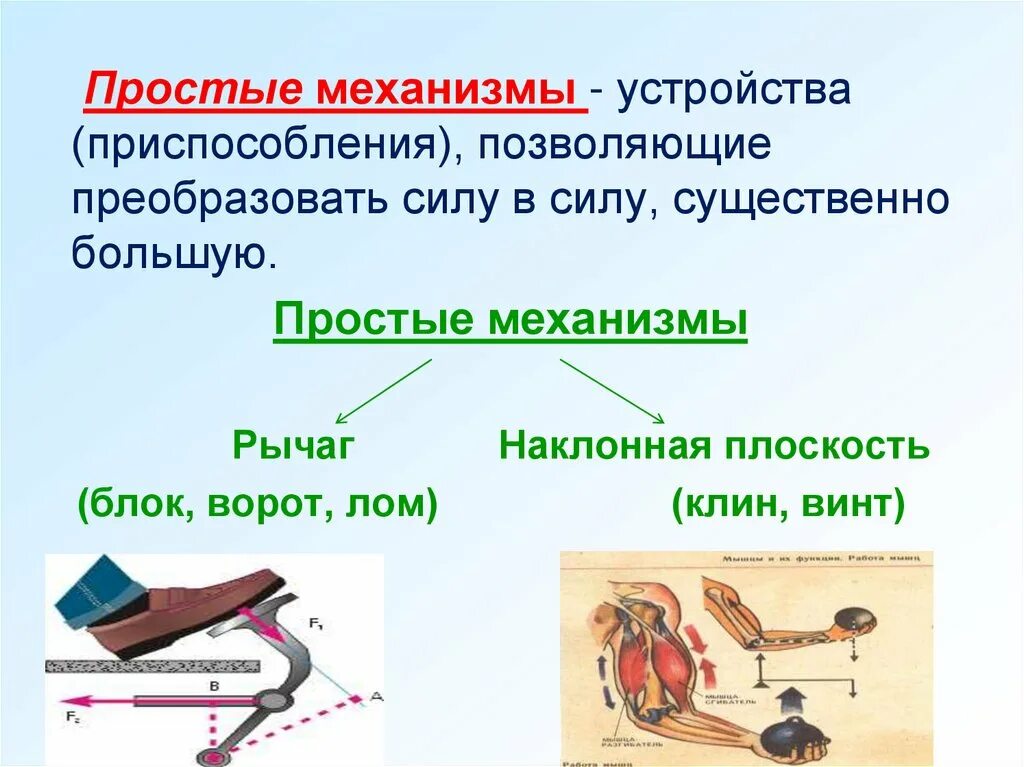 Какое действие оказывают на рычаг силы. Рычаг, блок, ворот, Наклонная плоскость, Клин, винт.. Блок и рычаг простые механизмы. Простые механизмы: рычаг, блок, Наклонная плоскость.. Простые механизмы рычаг Наклонная плоскость.