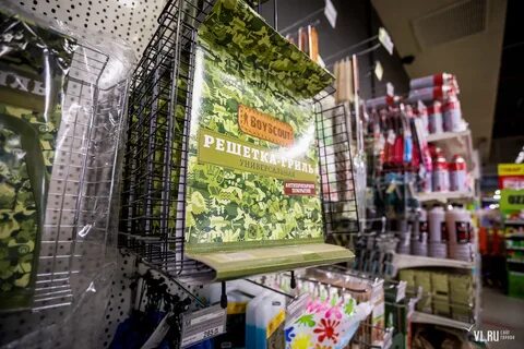 Владивосток самая дешевая
