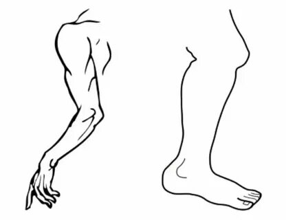 An arm and a leg meaning