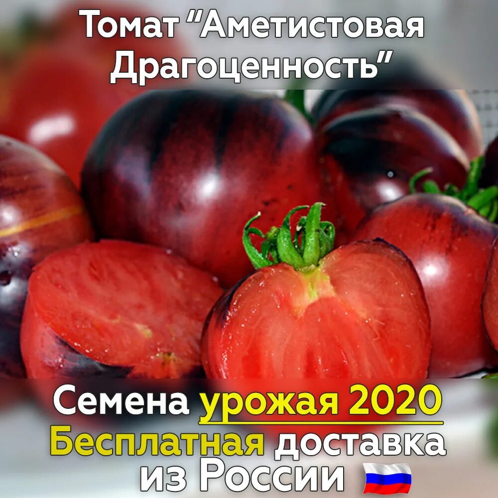 Томаты аметистовая драгоценность отзывы фото. Сорт помидор аметистовая драгоценность. томат аметистовая драгоценность характеристика. семена помидор сорт аметистовая драгоценность. семена томат аметистовая драгоценность мязина.