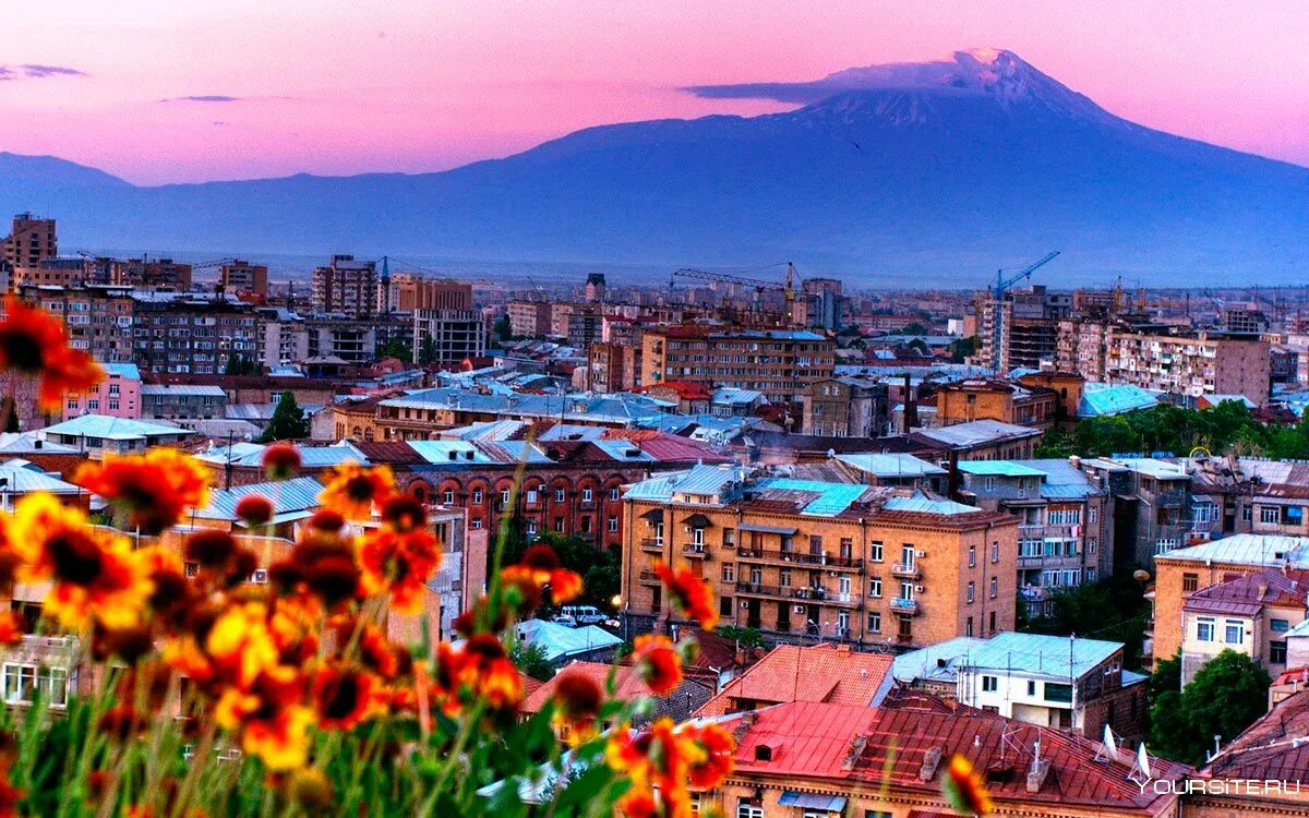 Ереван летом. Арарат (город, Армения). Столица Армении Ереван. Ереван Арарат. Цветущая Армения Ереван.