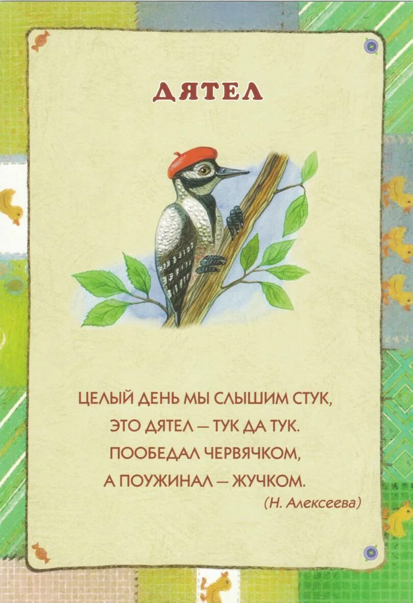 Стихи про птиц 3 года. Стих про дятла для детей. Стихи про птиц для малышей. Короткие стишки про птичек. Стихи про птиц для детей.