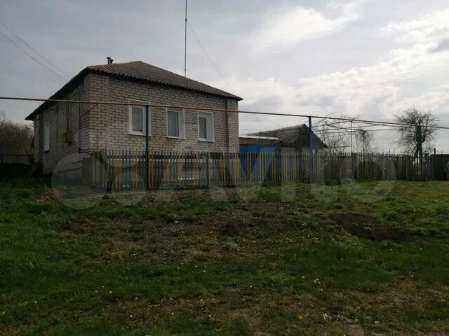 Новониколаевка старооскольский. Пруд новониколаевка старый оскол. Река осколец в губкине. Новониколаевка старооскольский. Новониколаевка челябинская область.