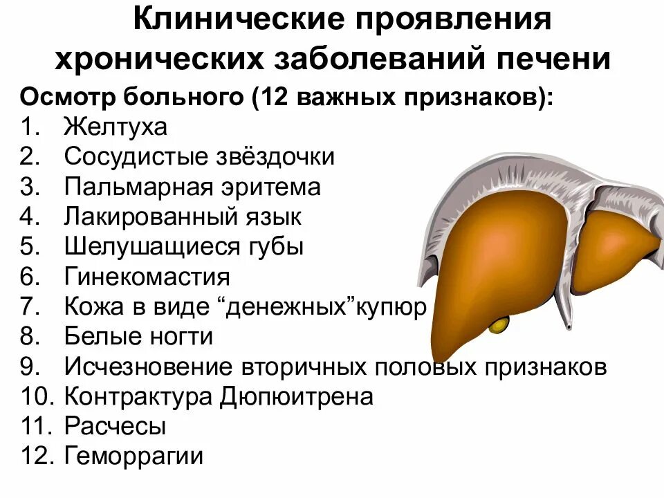 У каких людей болит печень