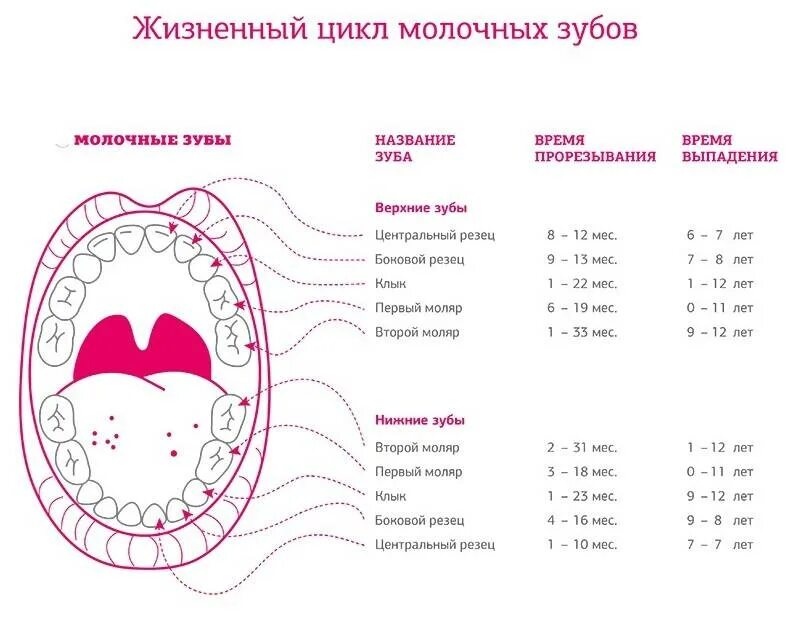 Моляры симптомы