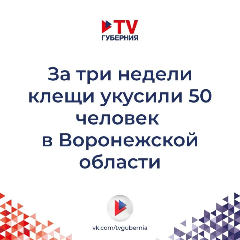 Программа передач губерния воронеж. Программа передач губерния воронеж