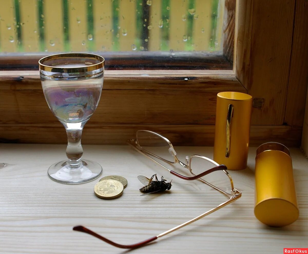 Лет сорок с ключницей бранился. Лет сорок с ключницей бранился. Дядя евгения онегина. Давить мух. Дядя онегина лет сорок с ключницей.