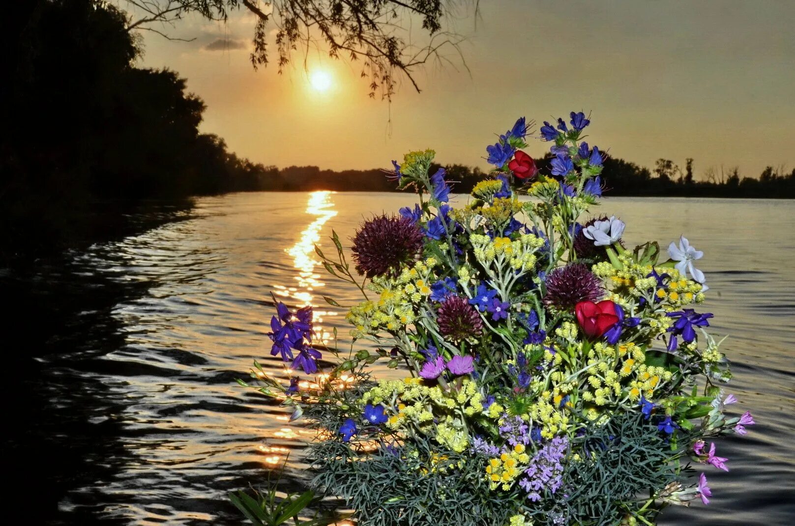 Вечер добрый с водой. Полевые цветы. букет полевых цветов. полевые цветы вечером. цветы у речки.