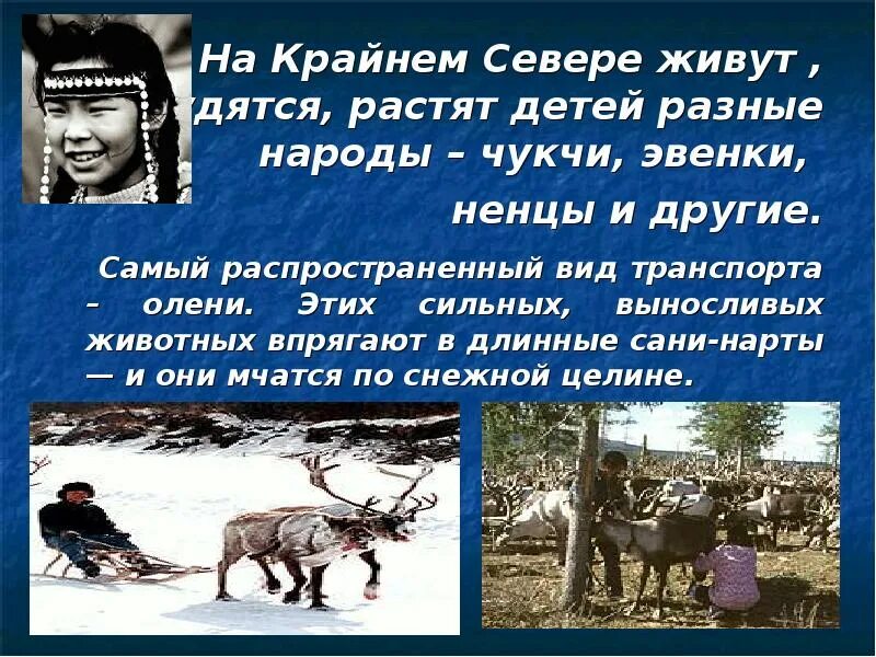 Что из перечисленного было основным занятием чукчей