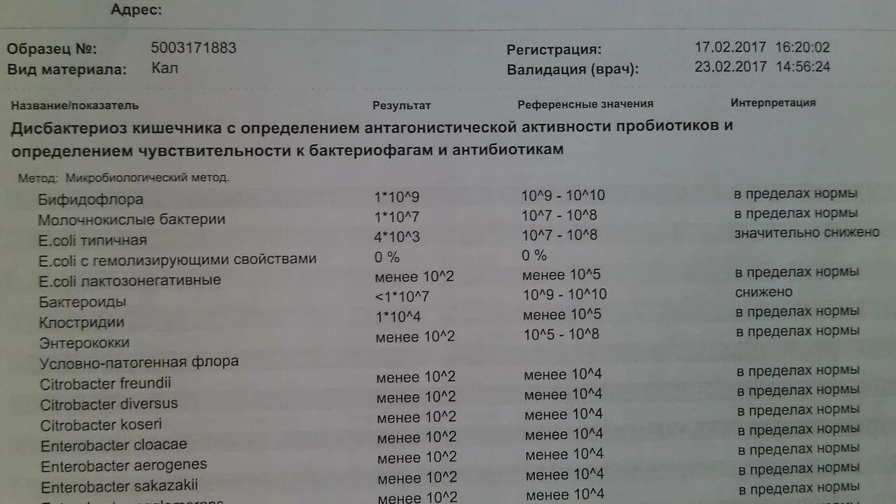 Стафилококк кишечника у взрослых. Норма золотистого стафилококка в мазке. норма золотистого стафилококка в кале у ребенка. золотистый стафилококк в кале норма. нормы стафилококка в зеве у взрослых.