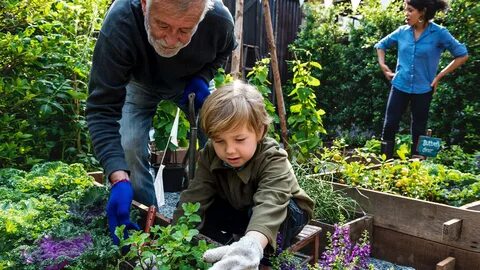 Planting boy