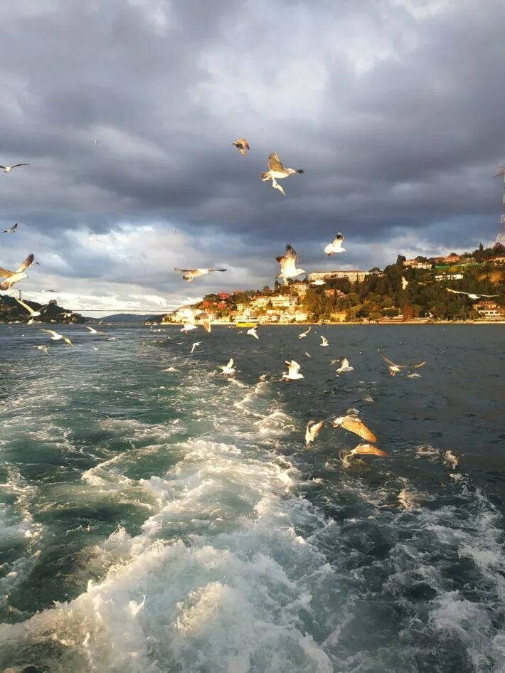 Пролив босфор океан. Пролив Босфор. Стамбул Босфор. Море Босфор. Что такое скалы Босфора.