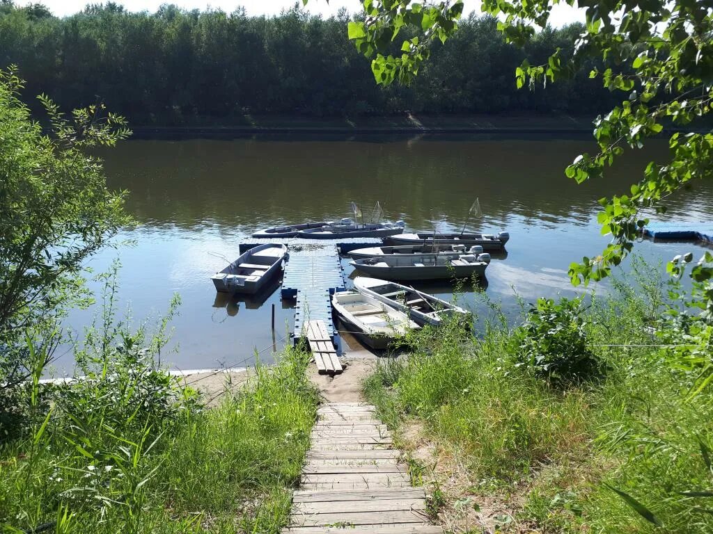 База Пристань рыбака. Рыболовные базы. Мостки для рыбалки. Рыболовный причал. И т д на базах