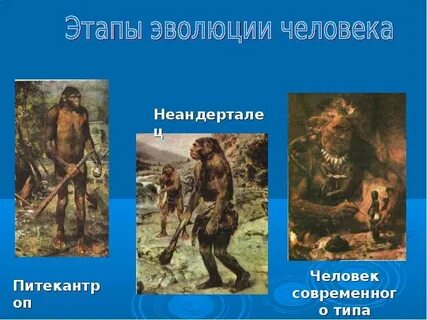 Стадии развития племен