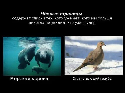 Не увидел кой кого