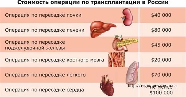 Себестоимость продуктов. Рассчитать удельный вес в процентах. Диета анорексички голод. Для похудения эффективные средства. Сколько стоит почка человека.