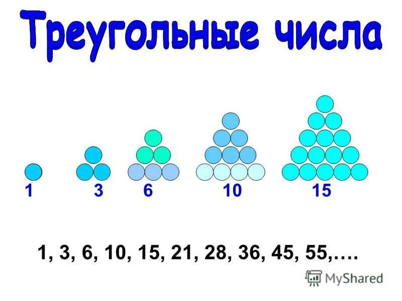 Вещи есть числа. Вещи есть числа
