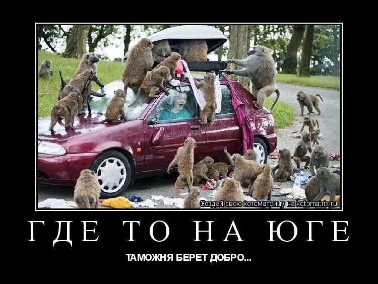 любовь к природе. доброта картинки. светлая душа. помнить добро. какие добрые дела можно делать.