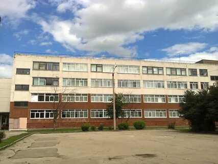 Цо 31