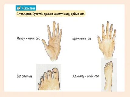Әйелдердің аяқтары мен аяқтарының фотосуреттері