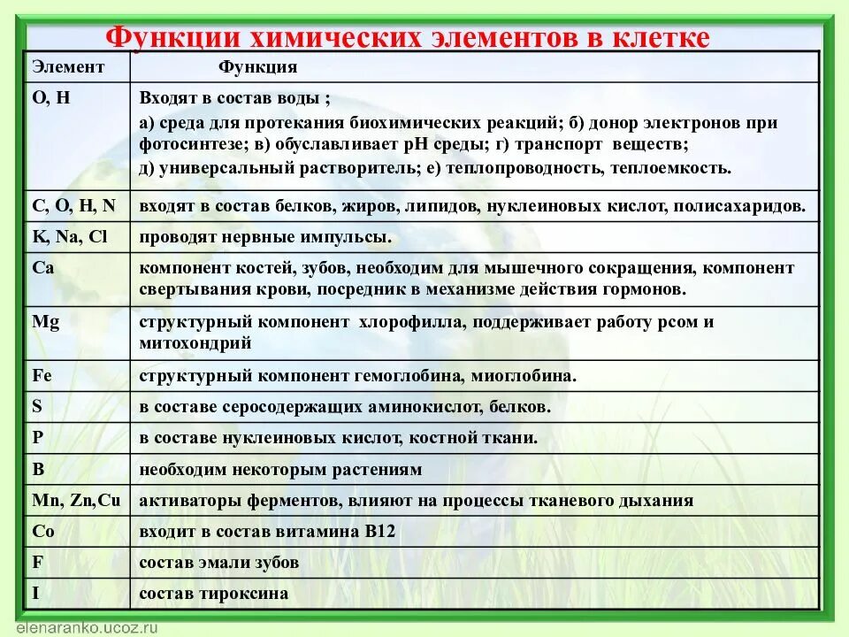 Элемент под функции. Функции химических элементов в клетке таблица. химические элементы и их роль в клетке таблица. химические элементы и их функции в клетке таблица. роль химических элементов в клетке таблица.