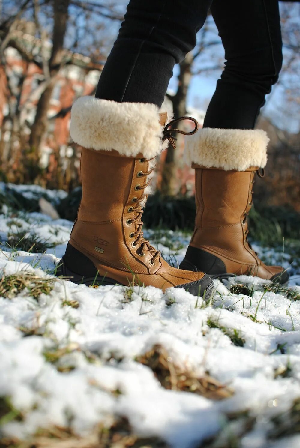 Сайт зимней обуви. Сапоги Snow Boots. Martanni Snow Boots угги. Зимние сапоги UGG Adirondack. Ботинки обувь женская Винтер зимние.