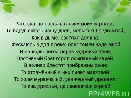 Кое где сквозь чащу деревьев мелькали серебряные