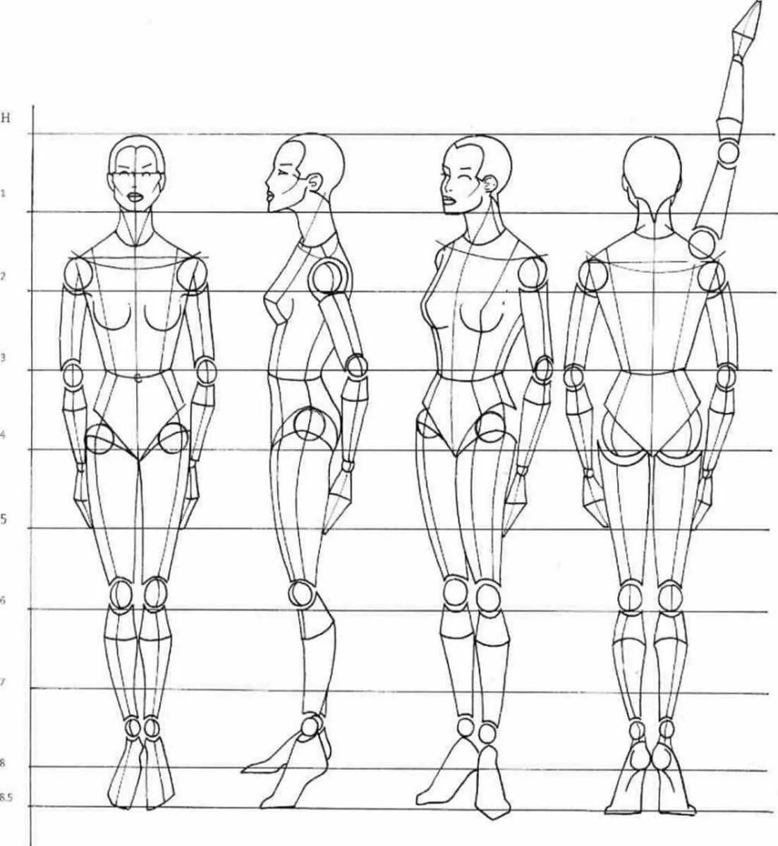 Пропорции тела человека для рисования. Построение человека референс пропорции. Пропорции человеческой фигуры схема. Построение человека рисунок пропорции.