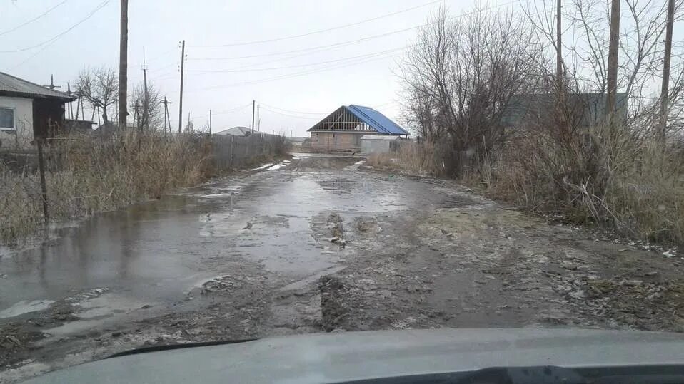 Рп5 староалейское. С.Староалейское Третьяковский район Алтайский край. Село Золотуха Алтайский край. Село Староалейское Третьяковского района. Село Староалейское Алтайский край 2022.