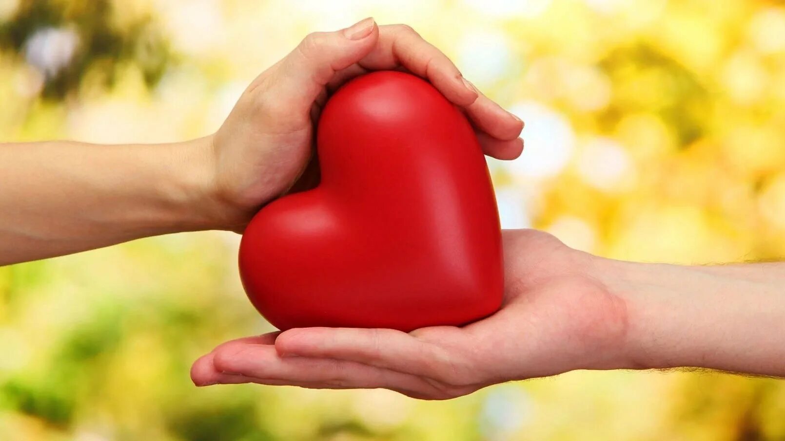 Сердце делай добро. Сердце в руках. Сердечко руками. Наполни сердце добротой. Картинка сердечко в руках.