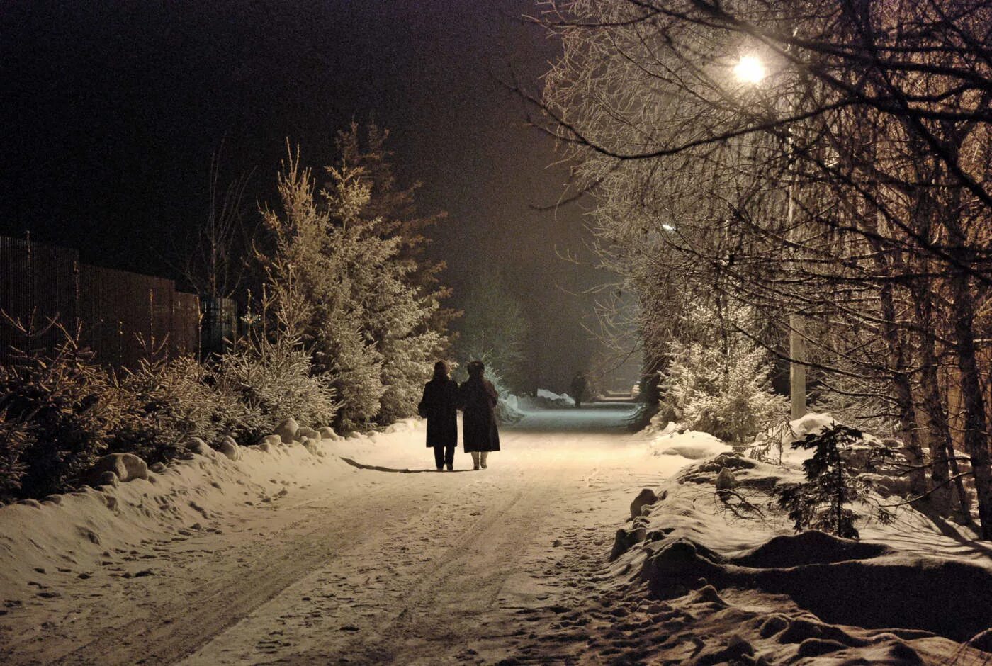 Гуляем ночью зимой