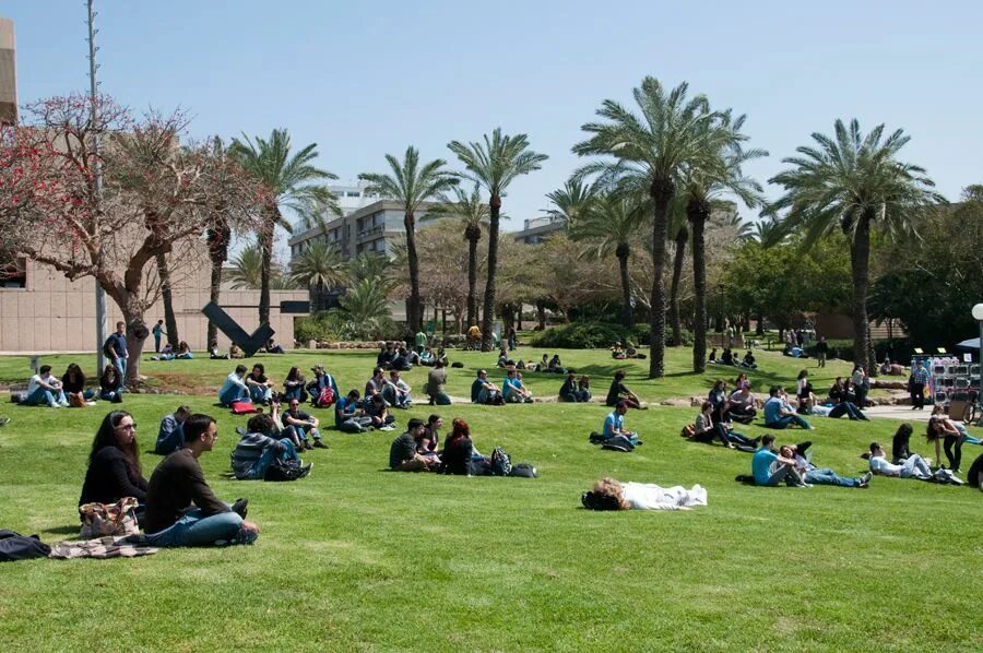 Aviv university