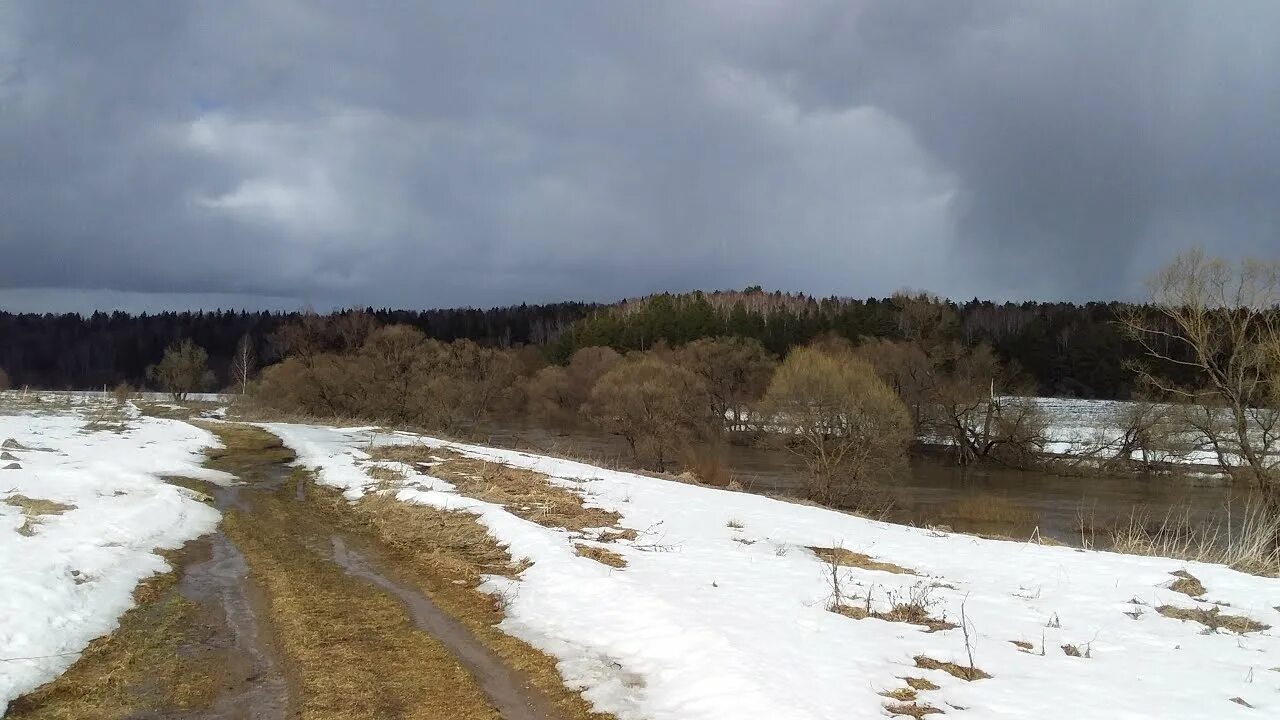 Паводок 2024 протва. Протва половодье. Половодье на Протве. Разлив реки Протва 2022. Половодье на Протве Обнинск.