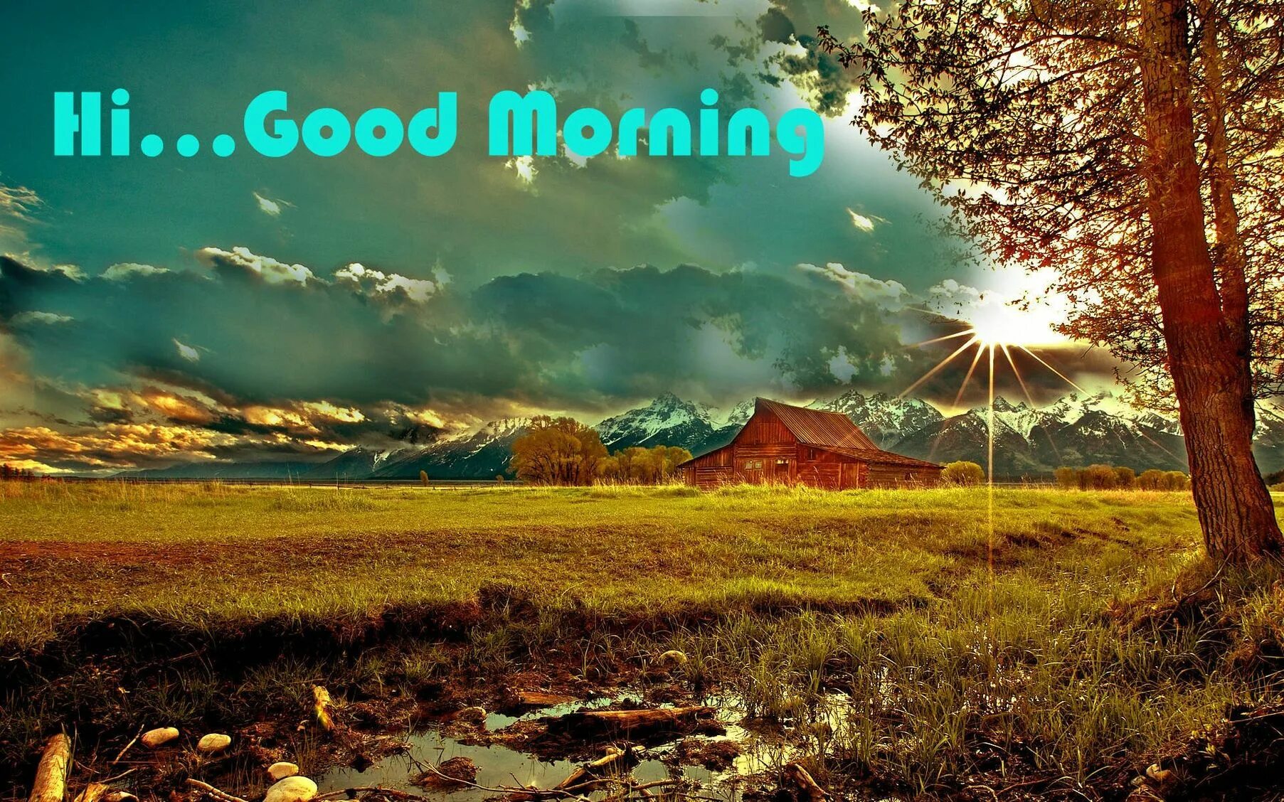 Включи good morning. Доброе утро природа. Надпись пейзаж. Good morning природа. Картинки с добрым утром природа.