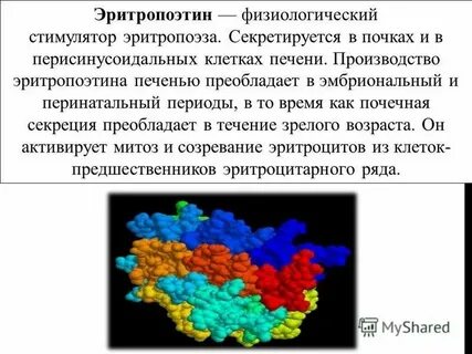 Эритропоэтин анализ