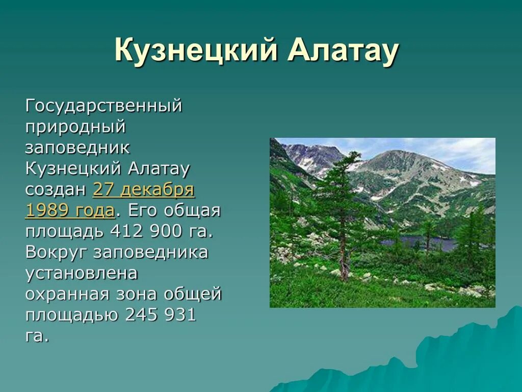 Заповедники россии доклад 8 класс. Заповедники Кузбасса Кузнецкий Алатау. Рассказ про заповедник Кузнецкий Алатау. Кузнецкий Алатау заповедник сообщение. Кузнецкий Алатау (заповедник) список заповедников России.